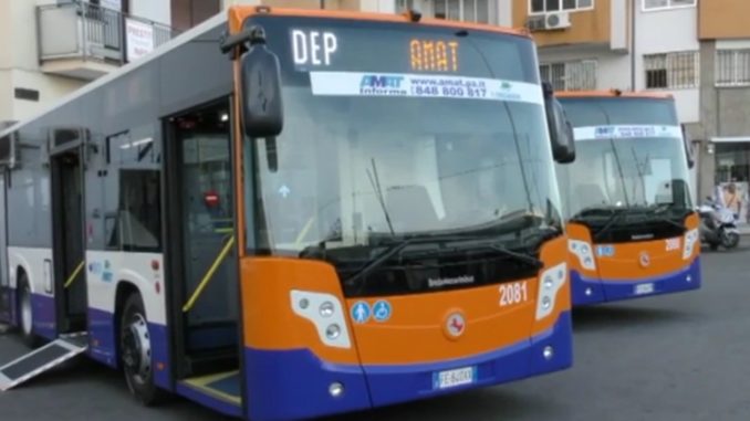 autobus-amat-nuovi