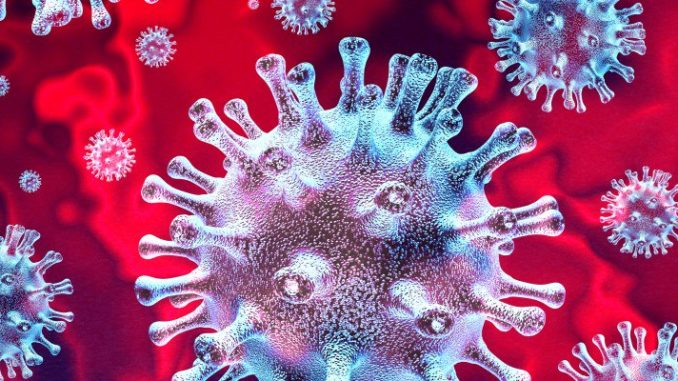 Nuovo Coronavirus