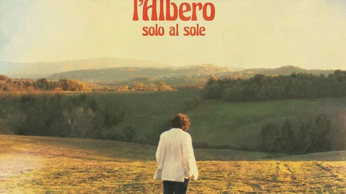 l'albero cover sotto il sole